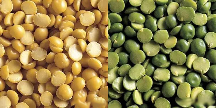 美国农业部杂豆质量标准 - 分瓣豌豆篇